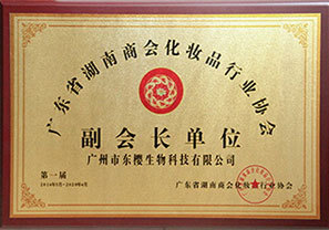 广东省湖南商会 化妆品行业协会副会长单位